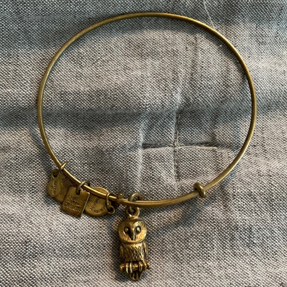 Alex and Ani gold Owl bracelet
